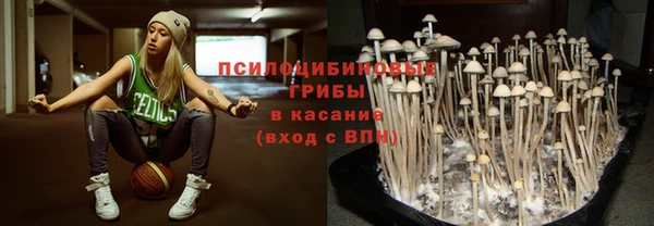 марки lsd Абаза