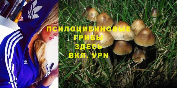 марки lsd Абаза