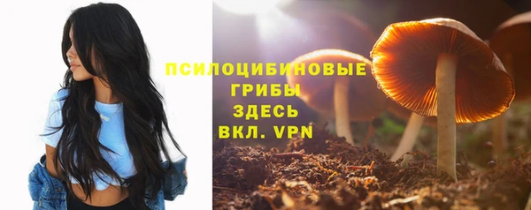 марки lsd Абаза