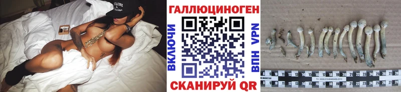 KRAKEN маркетплейс Шарья Галлюциногенные грибы Psilocybine cubensis